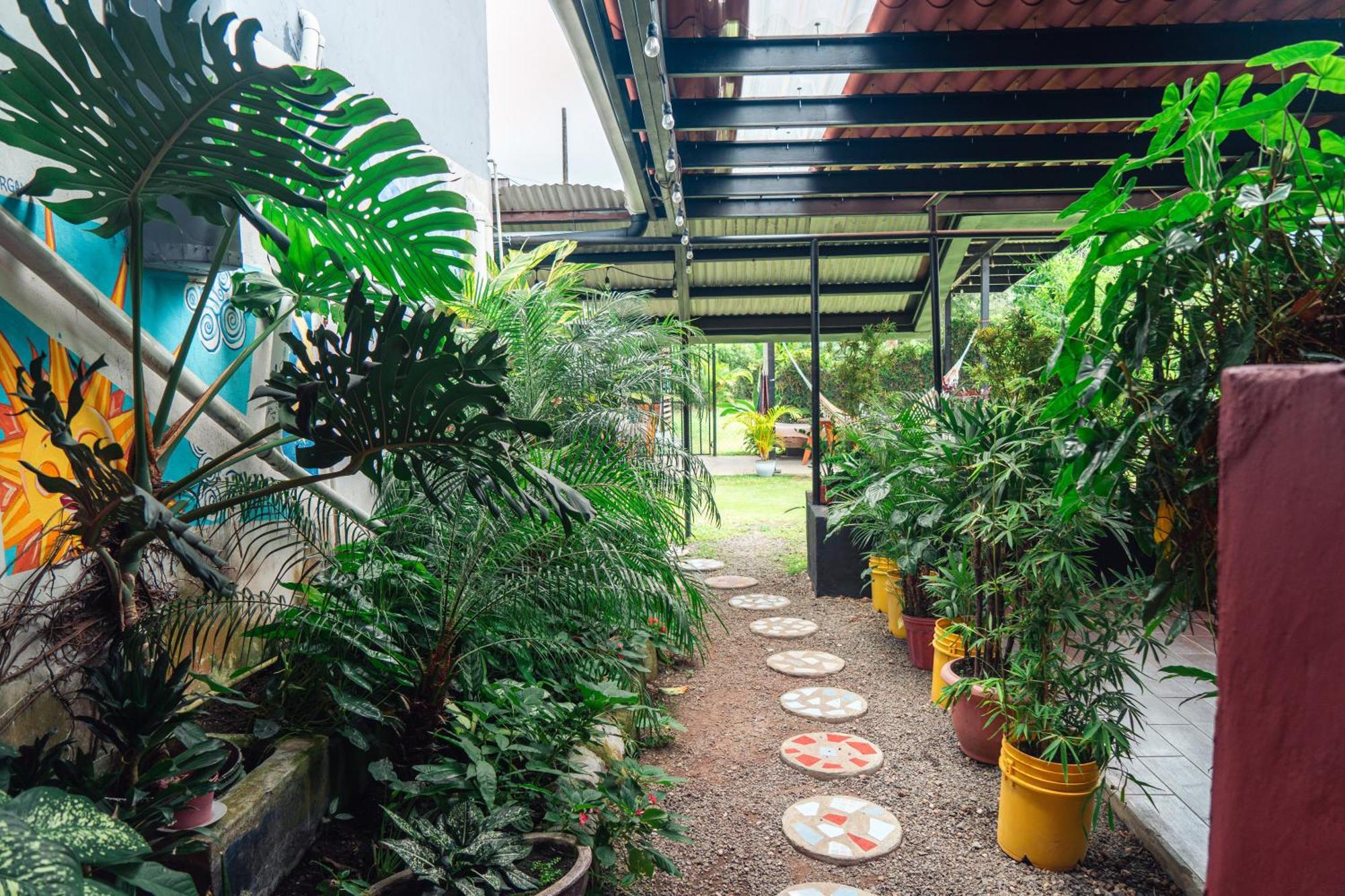 Bodhi Hostel & Lounge El Valle de Anton Eksteriør billede